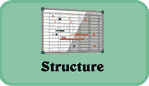 structure learning style